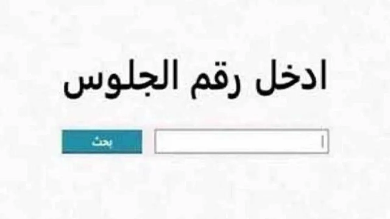 ترقبوا النتائج.. إعلان نتيجة الصف الثالث الإعدادي في الجيزة الأسبوع المقبل
